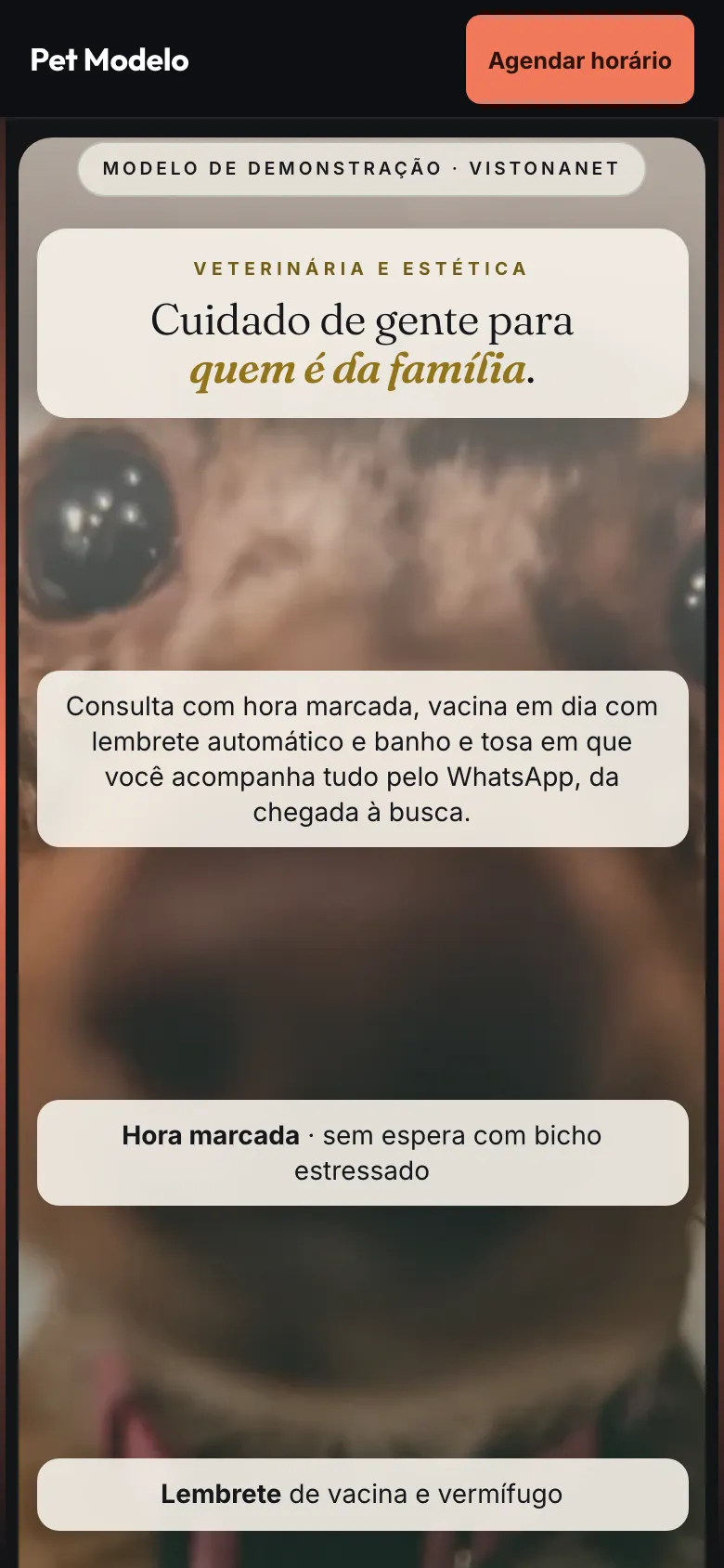 Modelo de site de petshop e veterinário