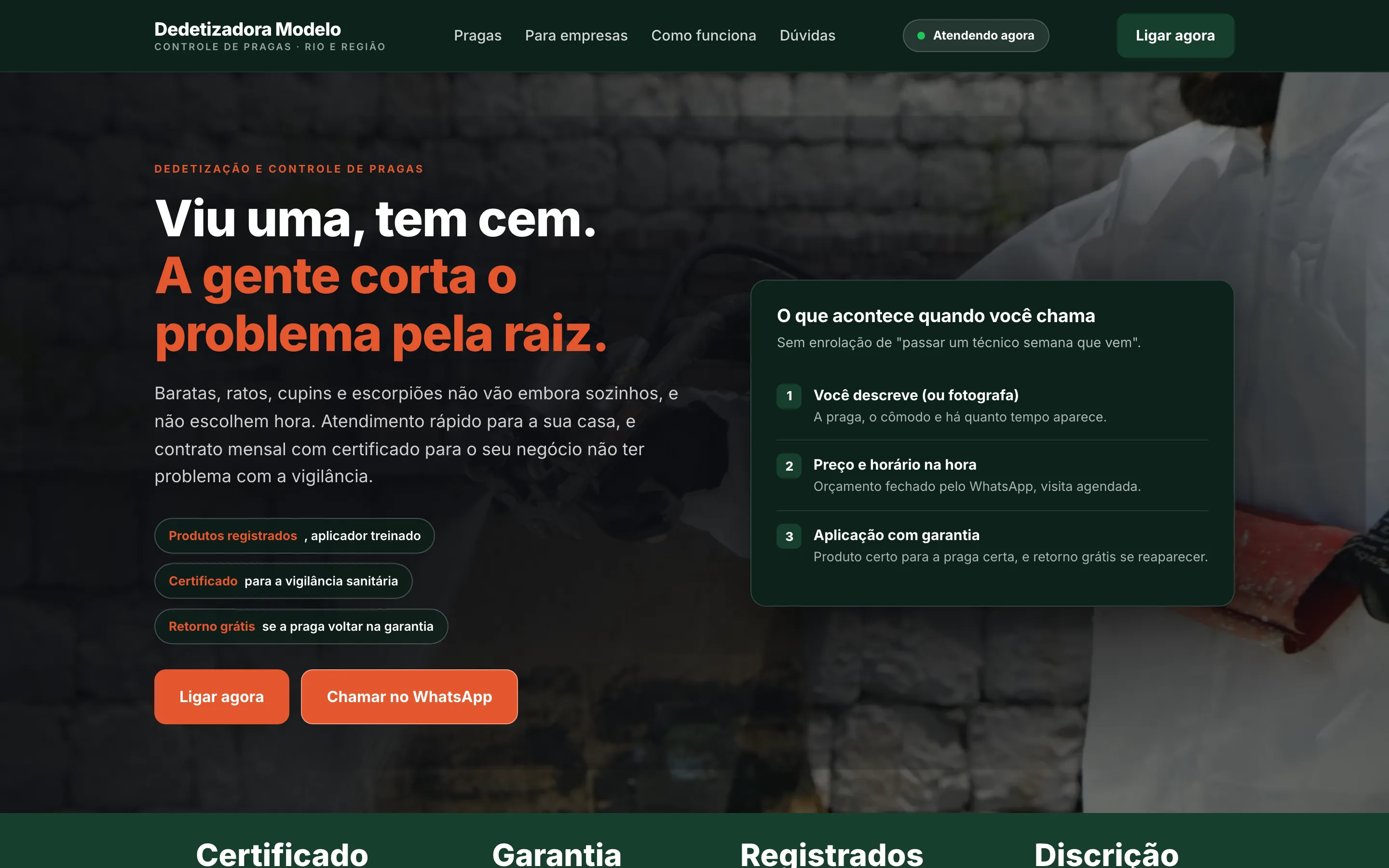 Modelo de site para dedetizadora e controle de pragas