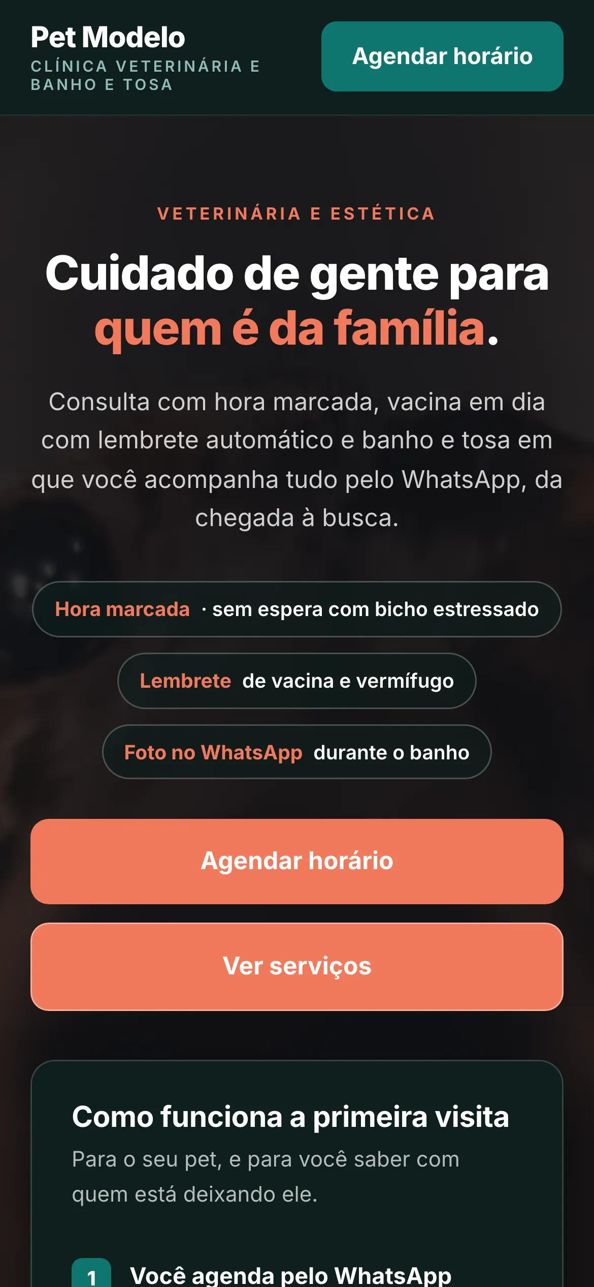 O mesmo modelo visto no celular