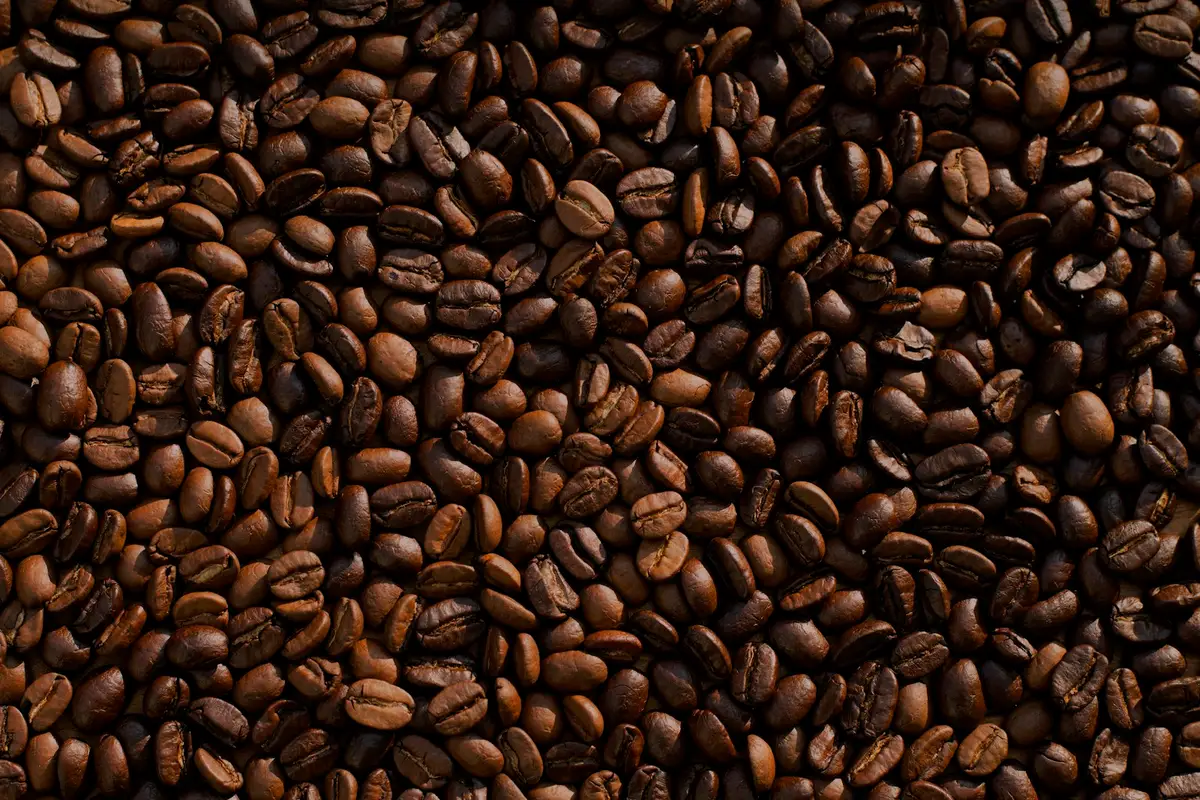 Grãos de café torrados do fornecimento mensal