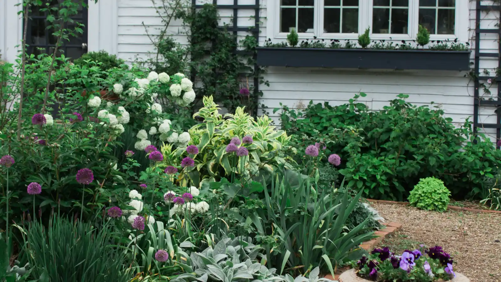 Jardim florido e cuidado na frente da casa