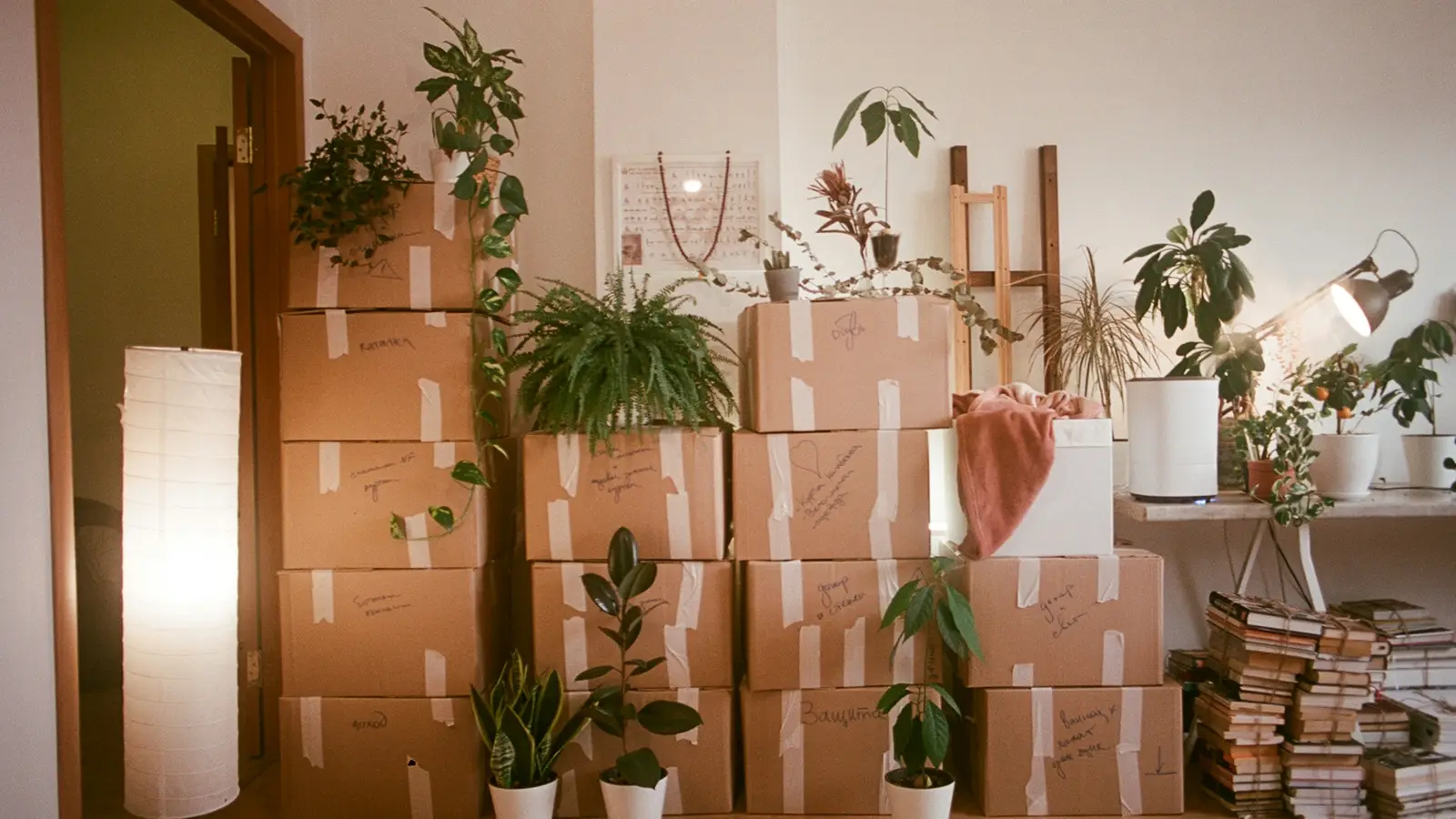 Sala com pilha de caixas de mudança embaladas e plantas